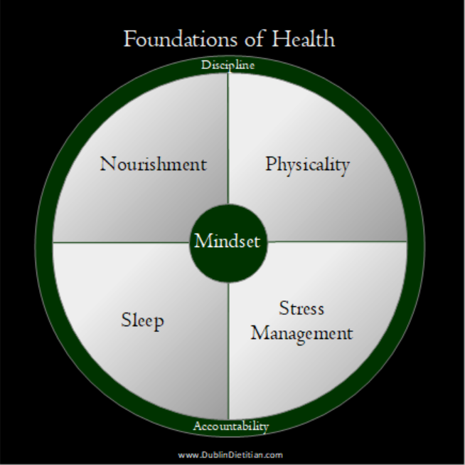 wellness-wheel-2