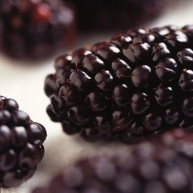 393px-Black_Butte_blackberry