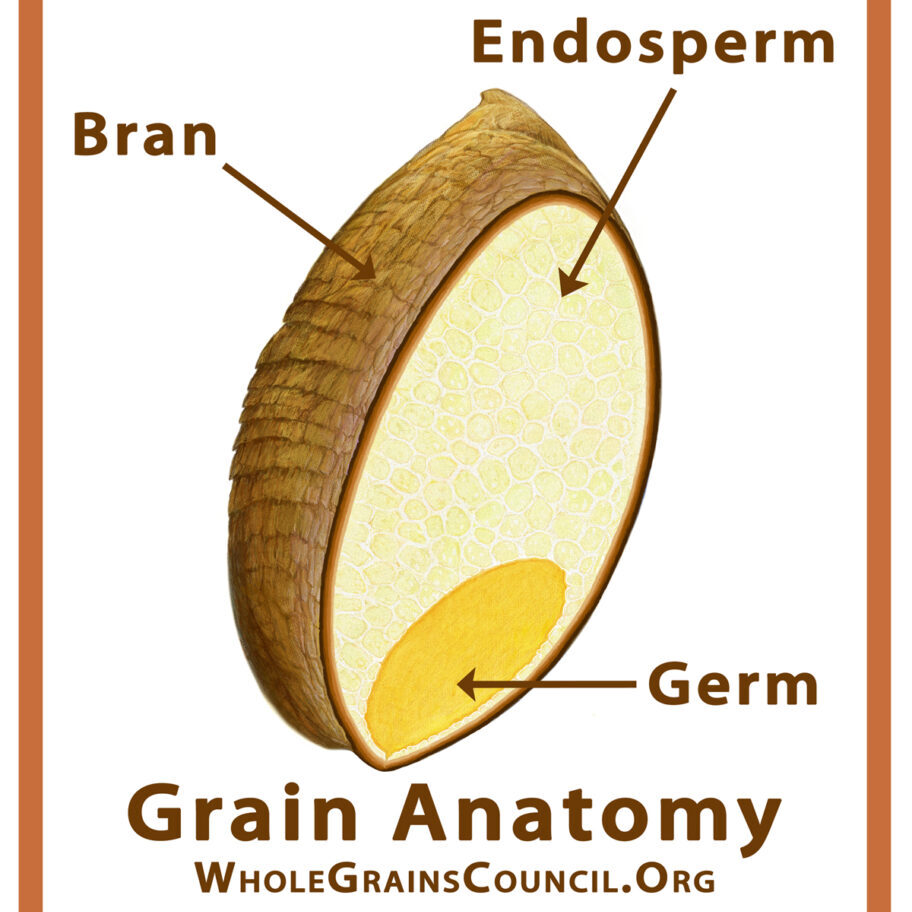 GrainParts_WGC_4x4.5_WGC