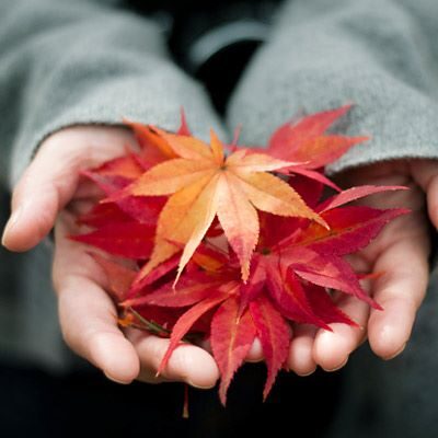 pg-reasons-to-love-fall-02-full